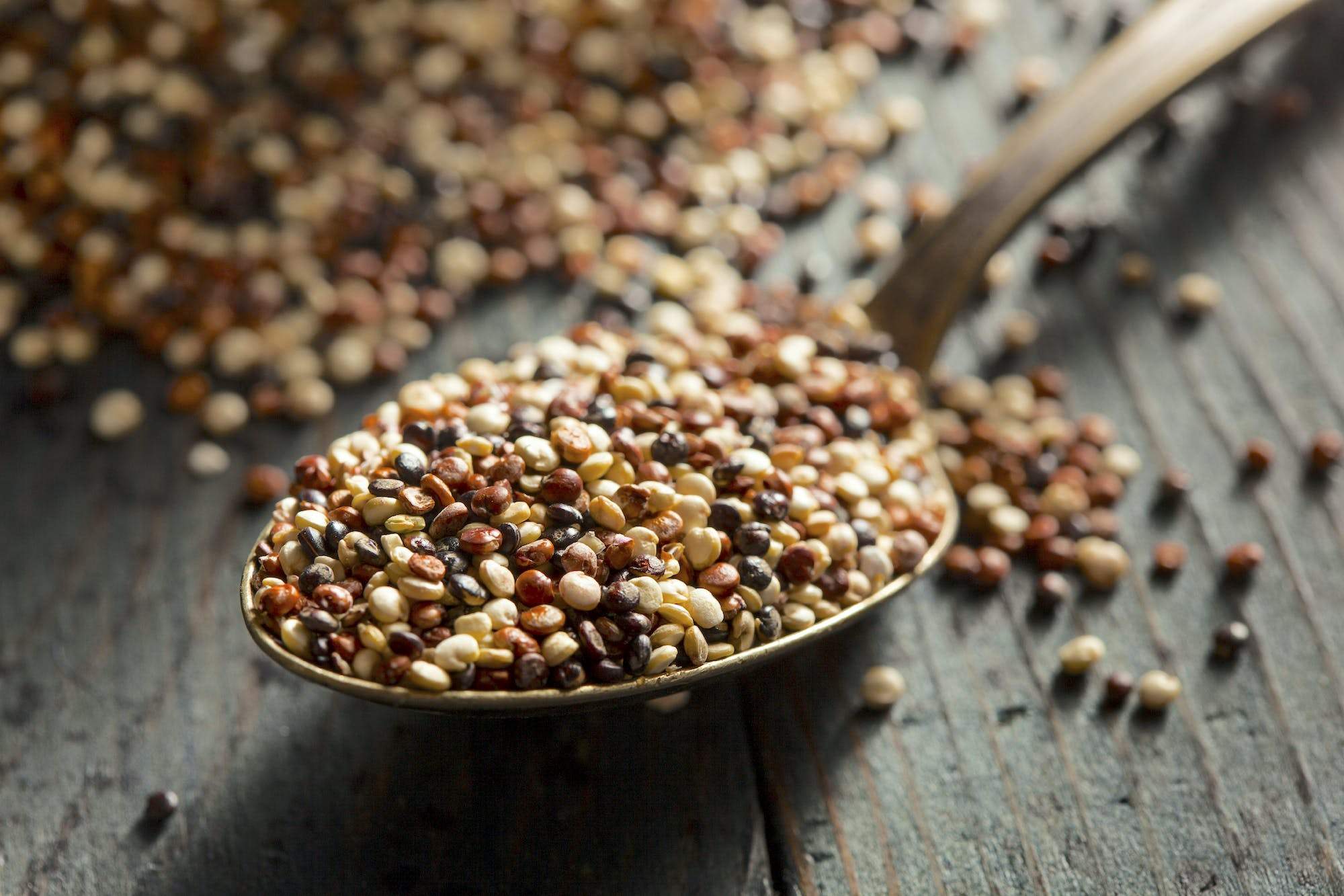 Vegan Protein: Why Fermented Grain-Like Seeds Are the Answer